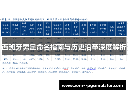 西班牙男足命名指南与历史沿革深度解析