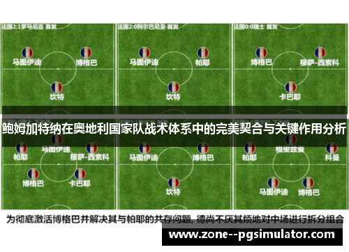 鲍姆加特纳在奥地利国家队战术体系中的完美契合与关键作用分析